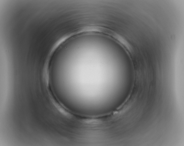 X0000114241127200910091503