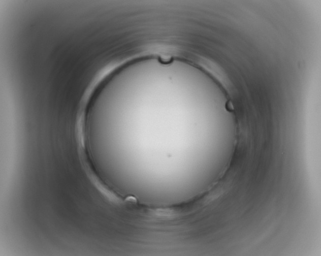 X0000114241128200910091503