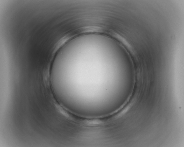 X0000114241129200910091503