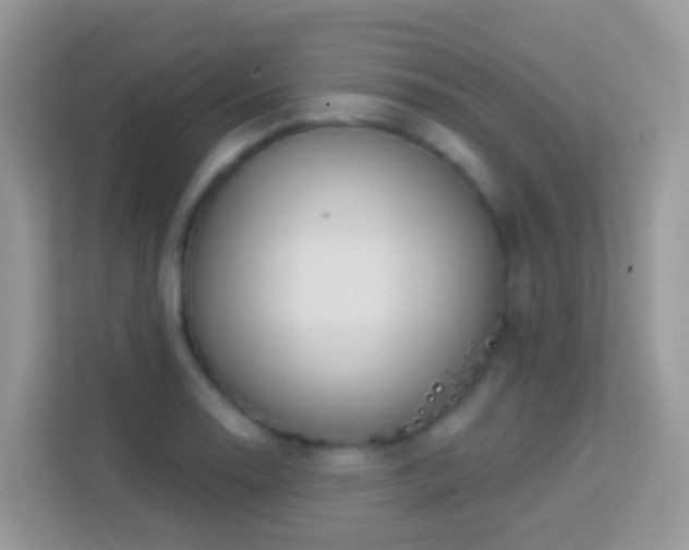 X0000114241130200910091503