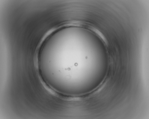 X0000114241131200910091503