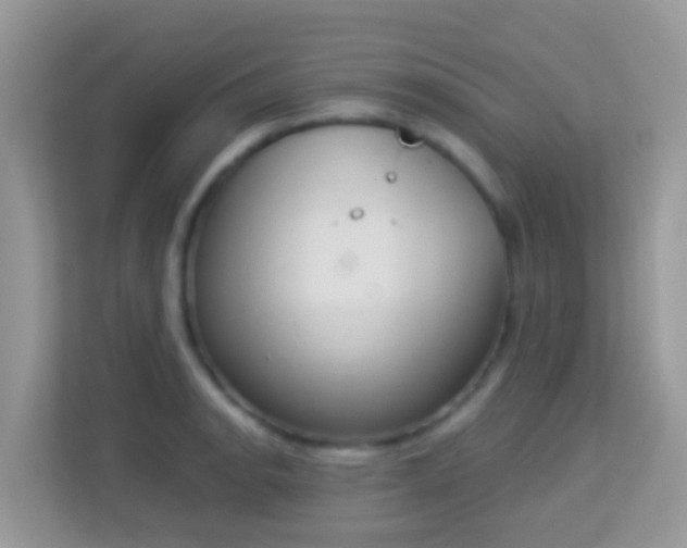 X0000114241134200910091503