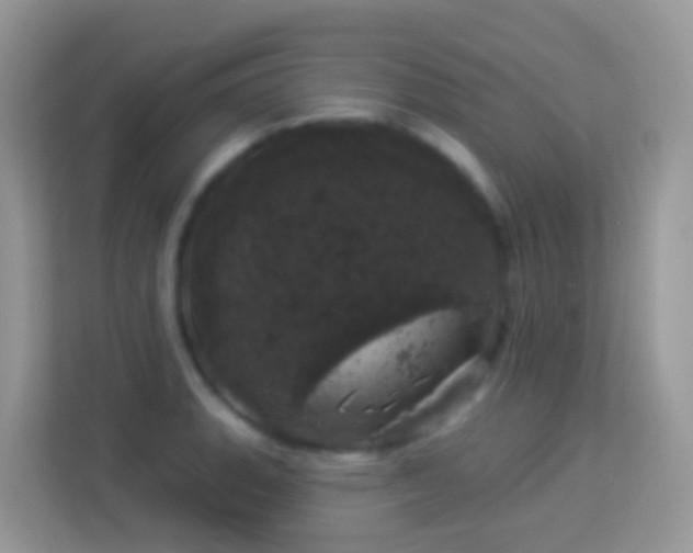 X0000114241135200910091503