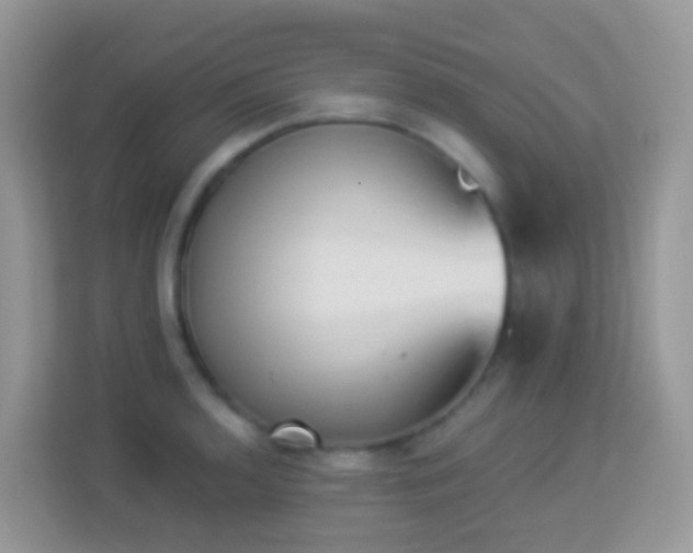X0000114241136200910091503