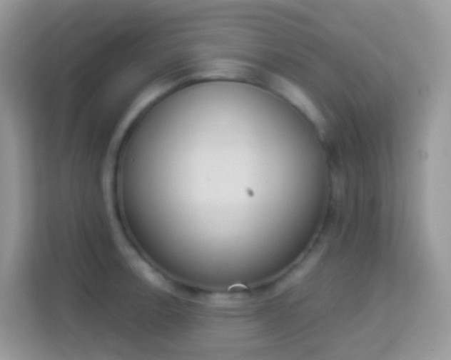 X0000114241138200910091503