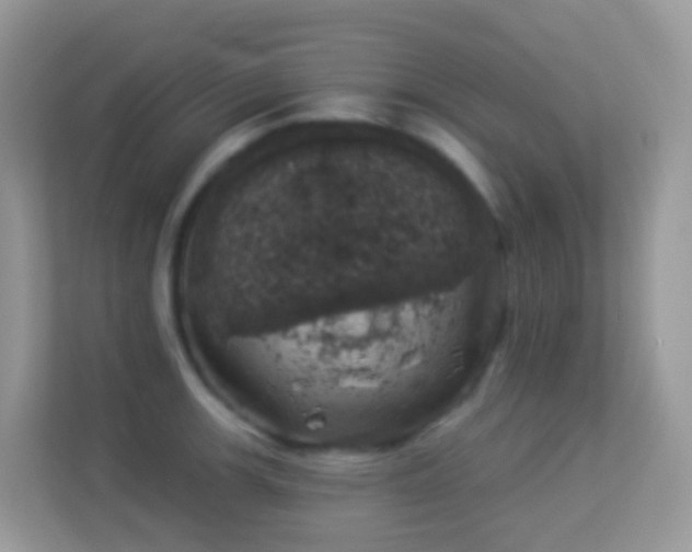 X0000114241139200910091503