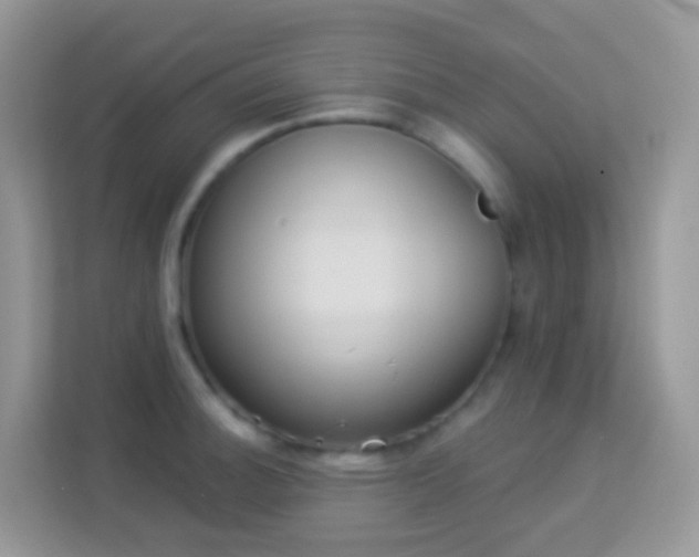 X0000114241140200910091503