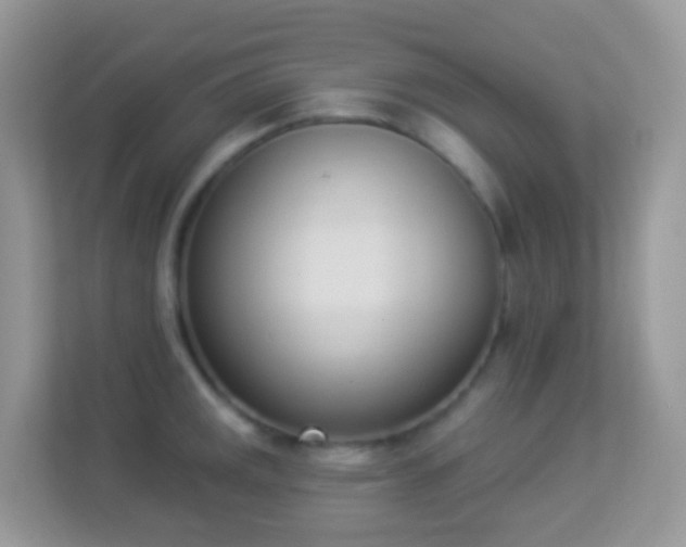 X0000114241141200910091503