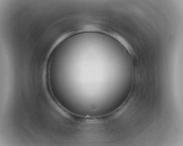 X0000114241142200910091503