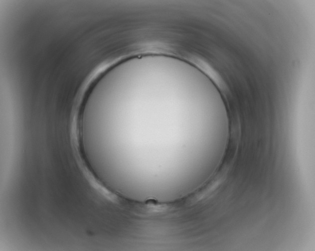 X0000114241144200910091503