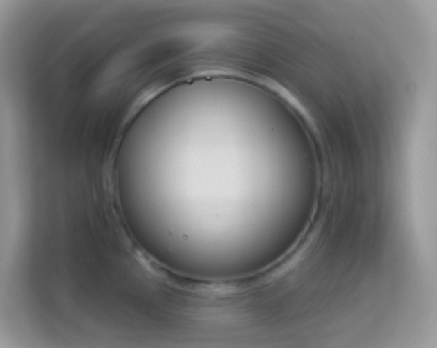 X0000114241145200910091503