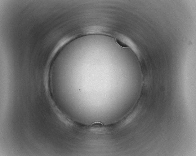 X0000114241146200910091503