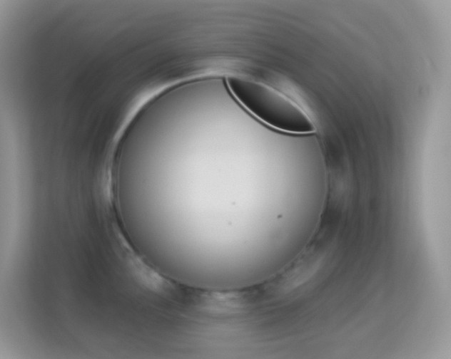 X0000114241148200910091503