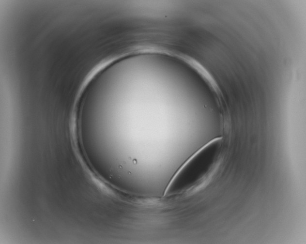 X0000114241149200910091503