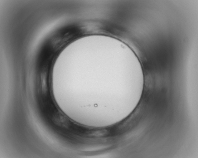 X0000114241150200910091503