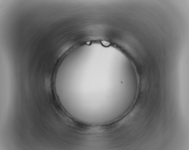 X0000114241162200910091503