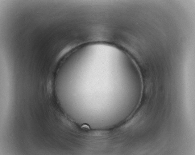 X0000114241163200910091503