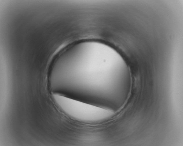 X0000114241165200910091503