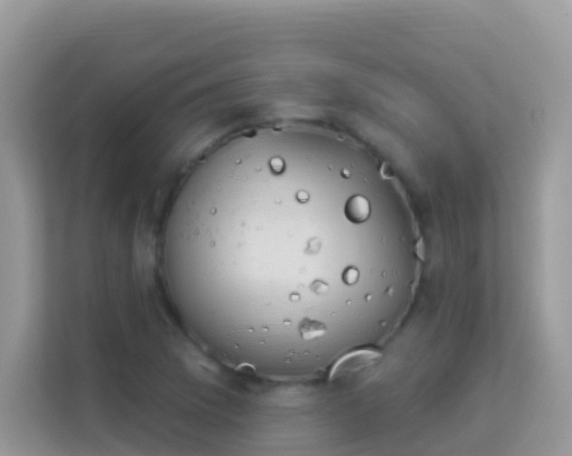 X0000114241169200910091503