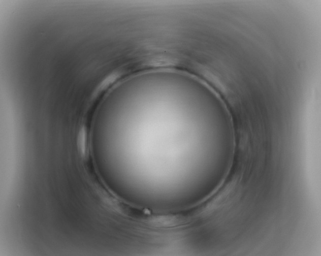X0000114241171200910091503