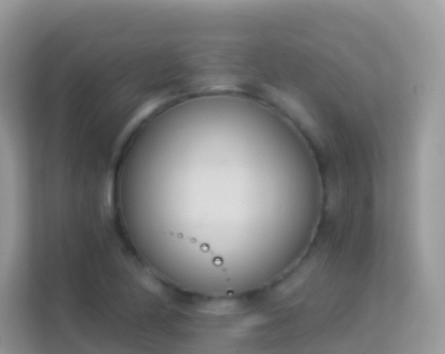 X0000114241174200910091503