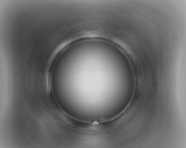 X0000114241175200910091503