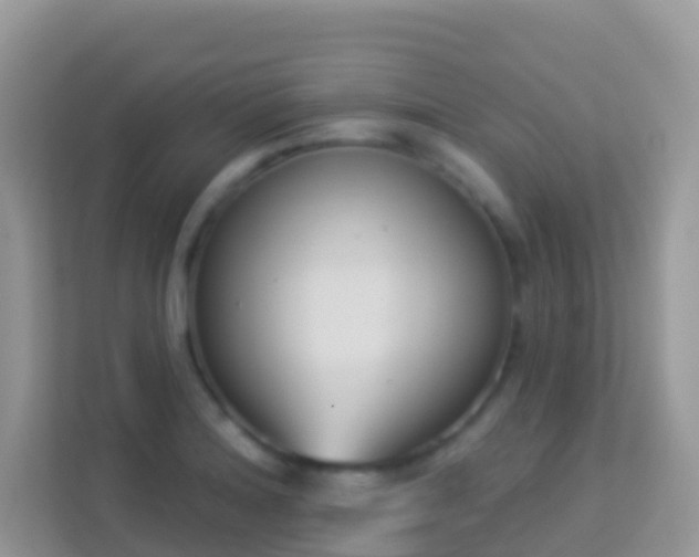 X0000114241180200910091502