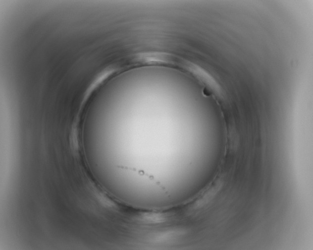 X0000114241182200910091502