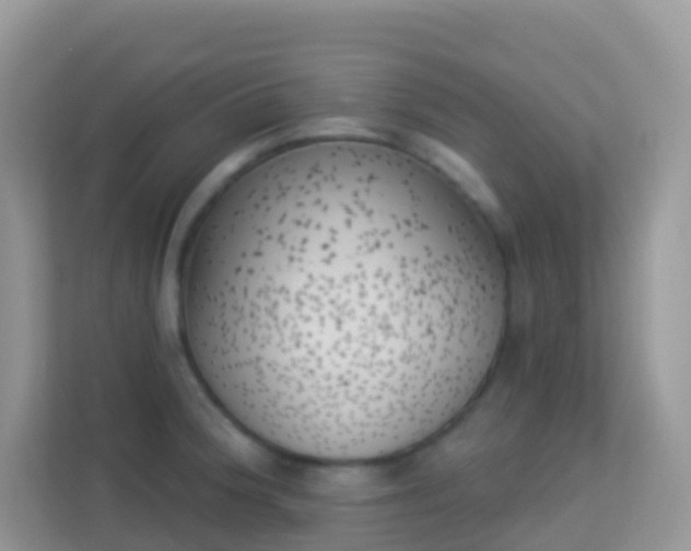 X0000114241188200910091502