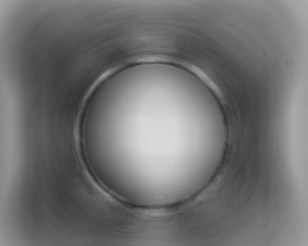 X0000114241189200910091502