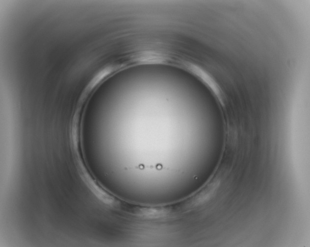 X0000114241195200910091502