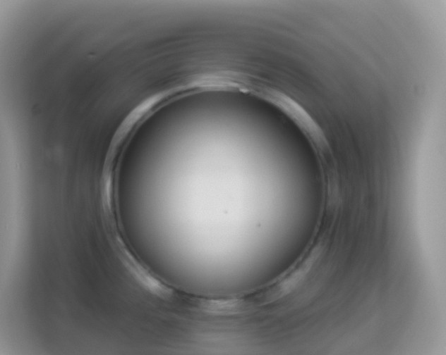 X0000114241196200910091502