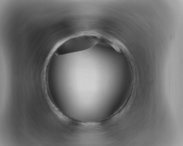 X0000114241200200910091502