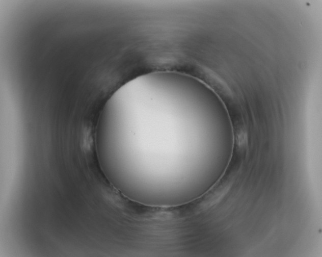 X0000114241204200910091502