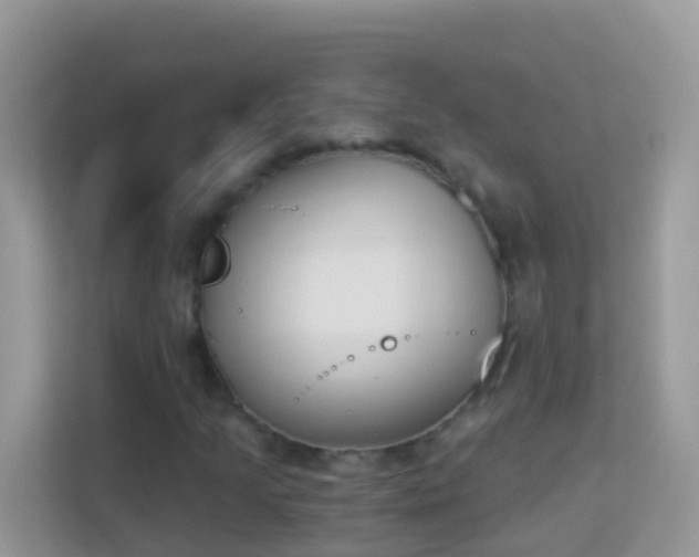 X0000114241205200910091502