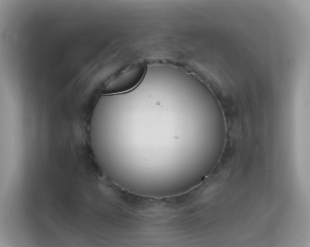 X0000114241207200910091502