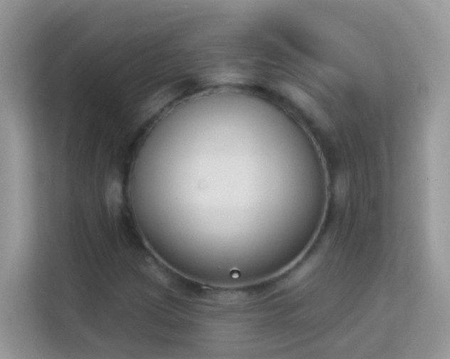 X0000114241209200910091502