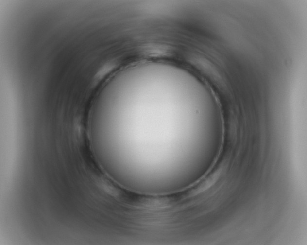 X0000114241210200910091502