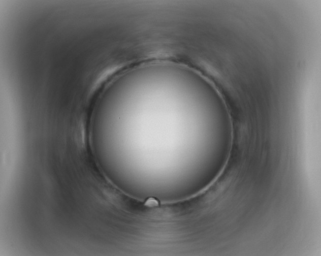 X0000114241214200910091502