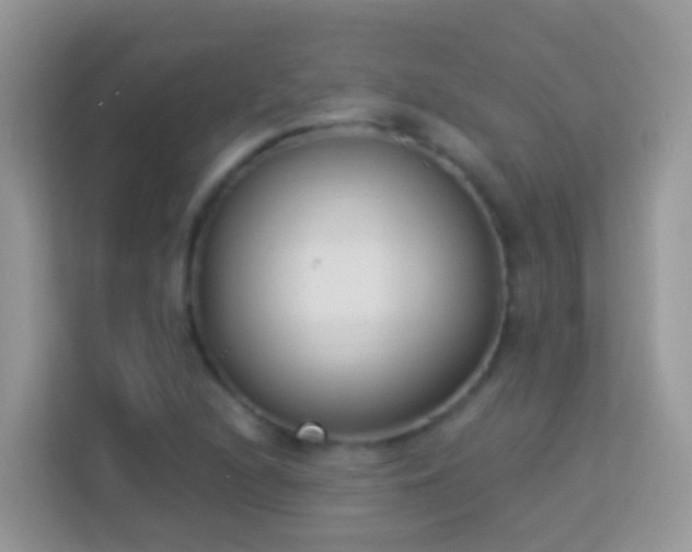 X0000114241216200910091502