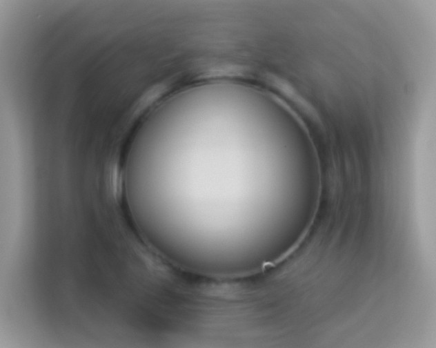 X0000114241221200910091502