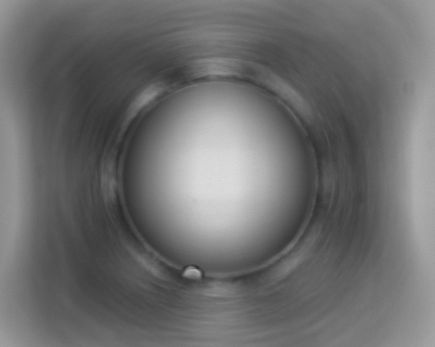 X0000114241226200910091502