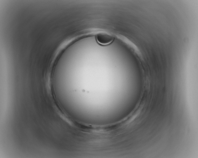 X0000114241231200910091502