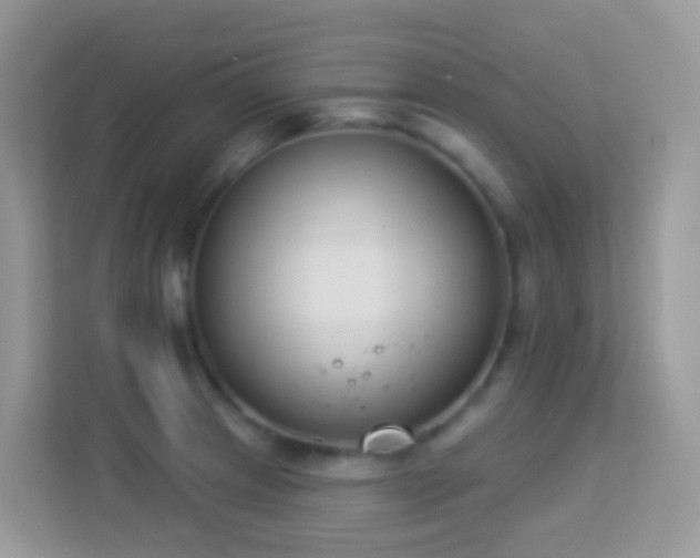 X0000114241233200910091502