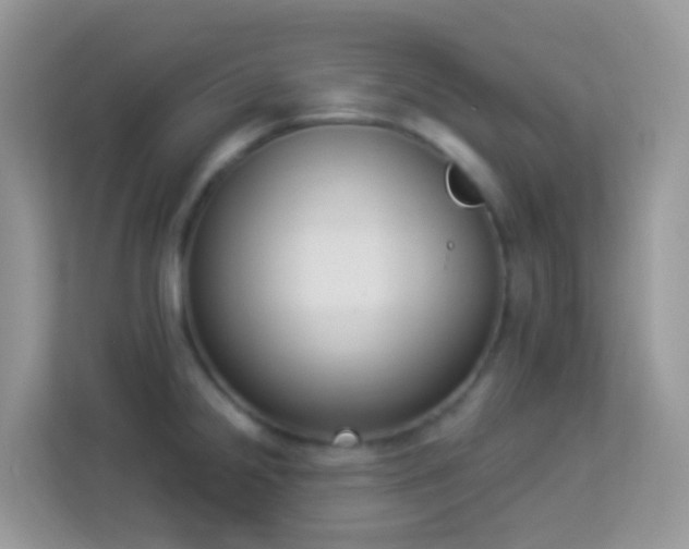 X0000114241238200910091502