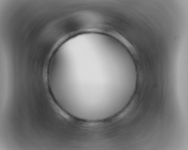 X0000114241240200910091502
