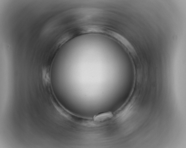 X0000114241241200910091502