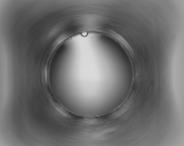 X0000114241242200910091502