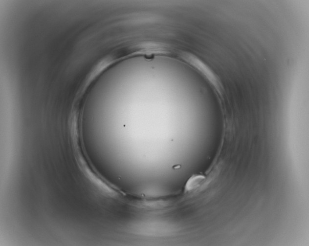 X0000114241243200910091502