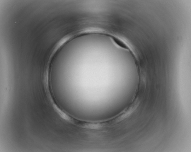 X0000114241245200910091502